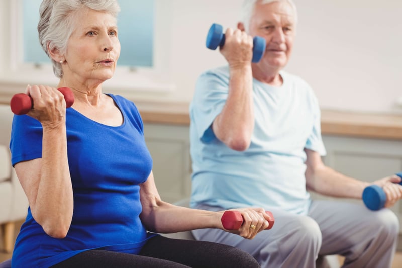 Senior couple sitting on fitness balls with dumbbells