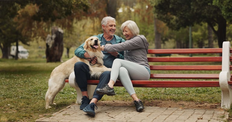 Dog, park, and an old couple on a bench