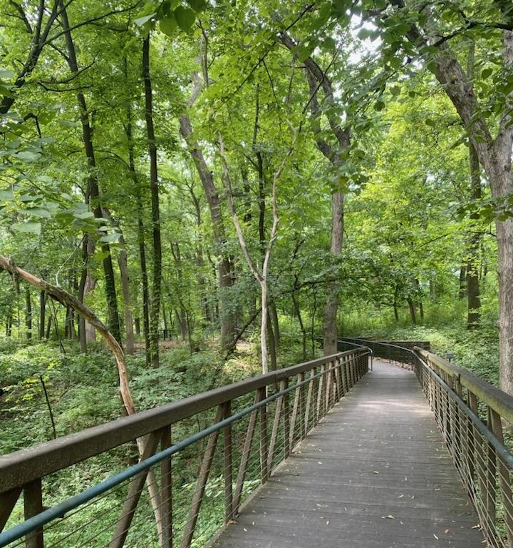 wesley on grand walking path