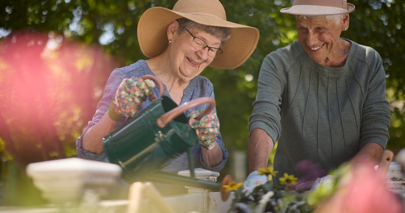 Plan Smart, Live Well: A Guide to Aging at Home