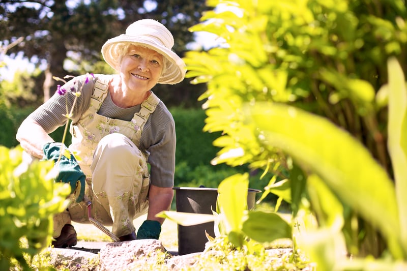 Older woman smiling while gardening.