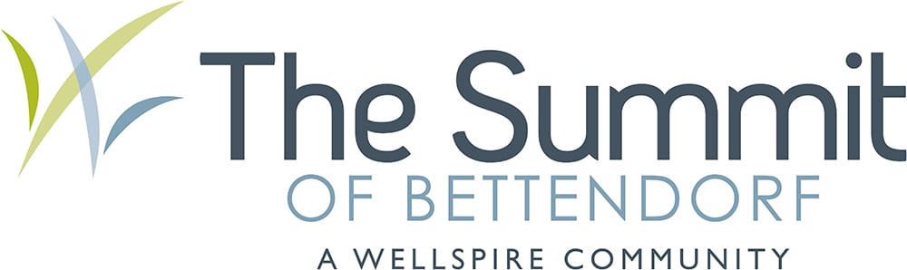 The Summit Horizontal Logo
