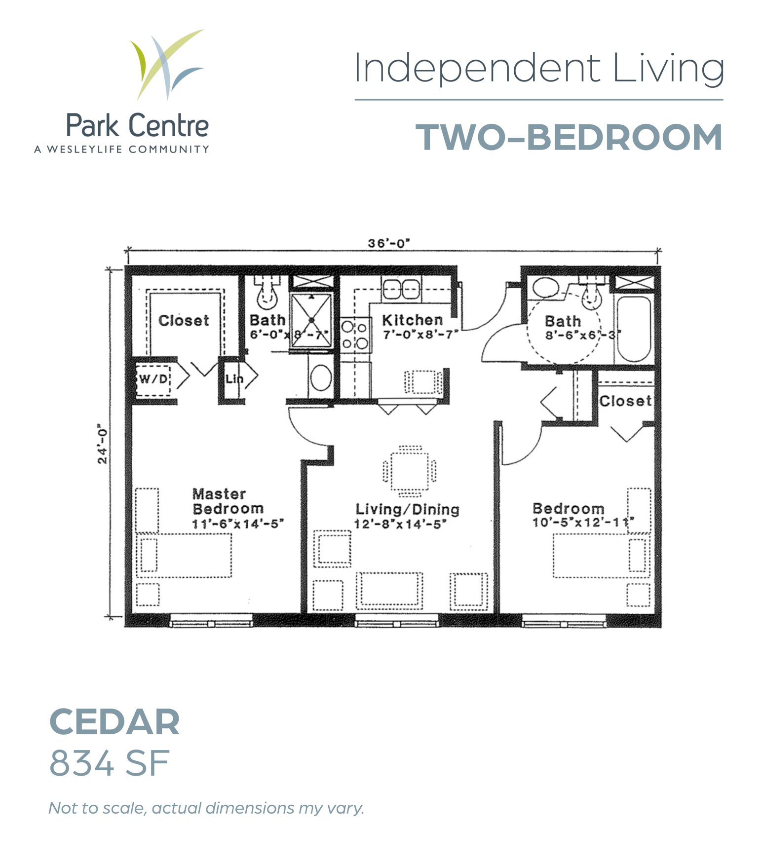 Cedar
