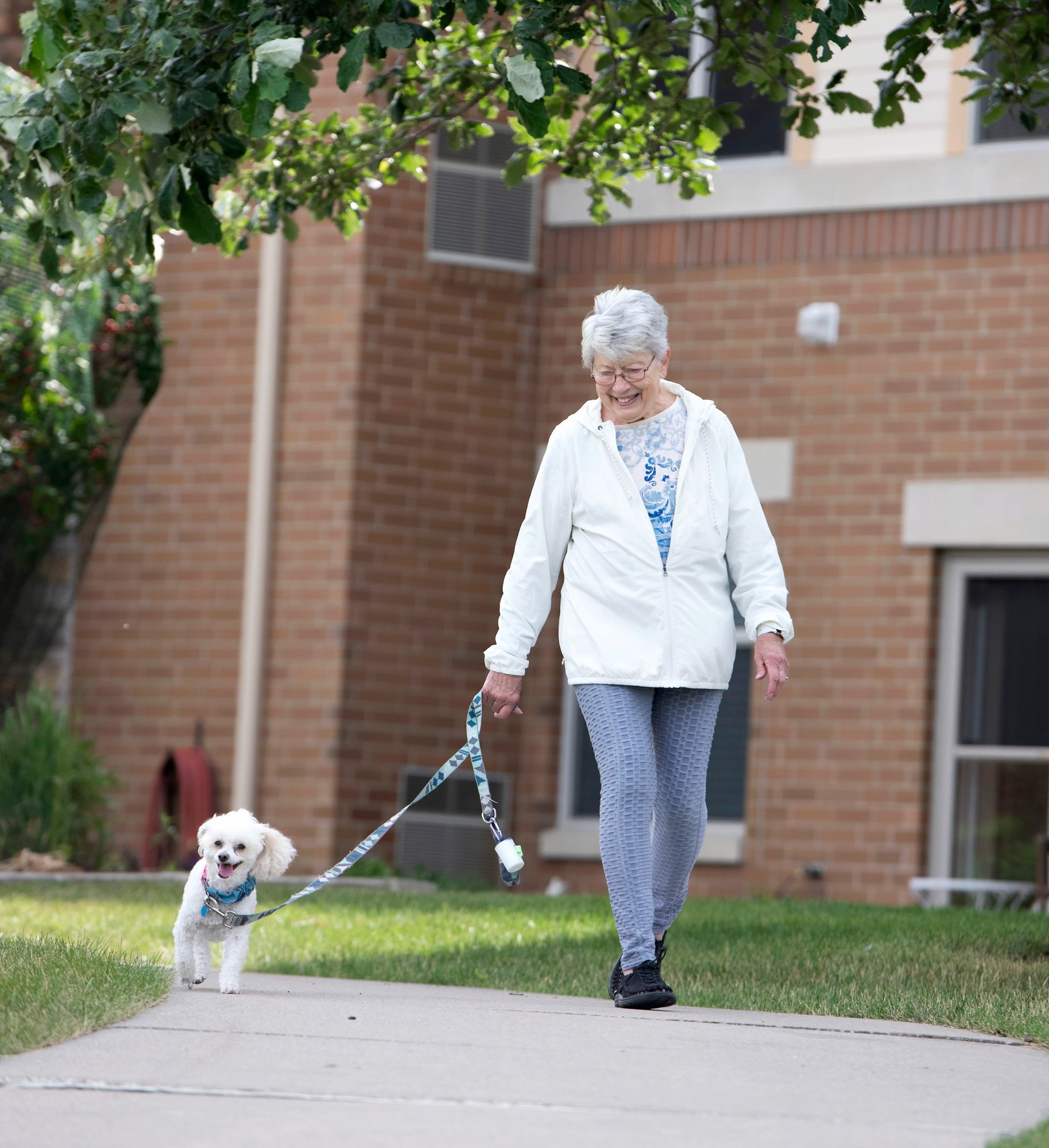 Sernior woman walking with a dog