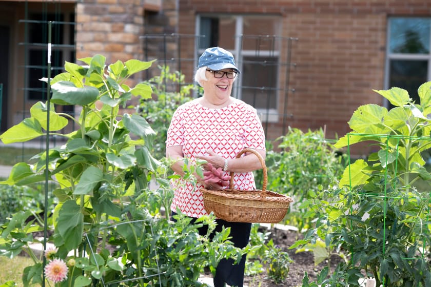 Happy elderly woman gardening