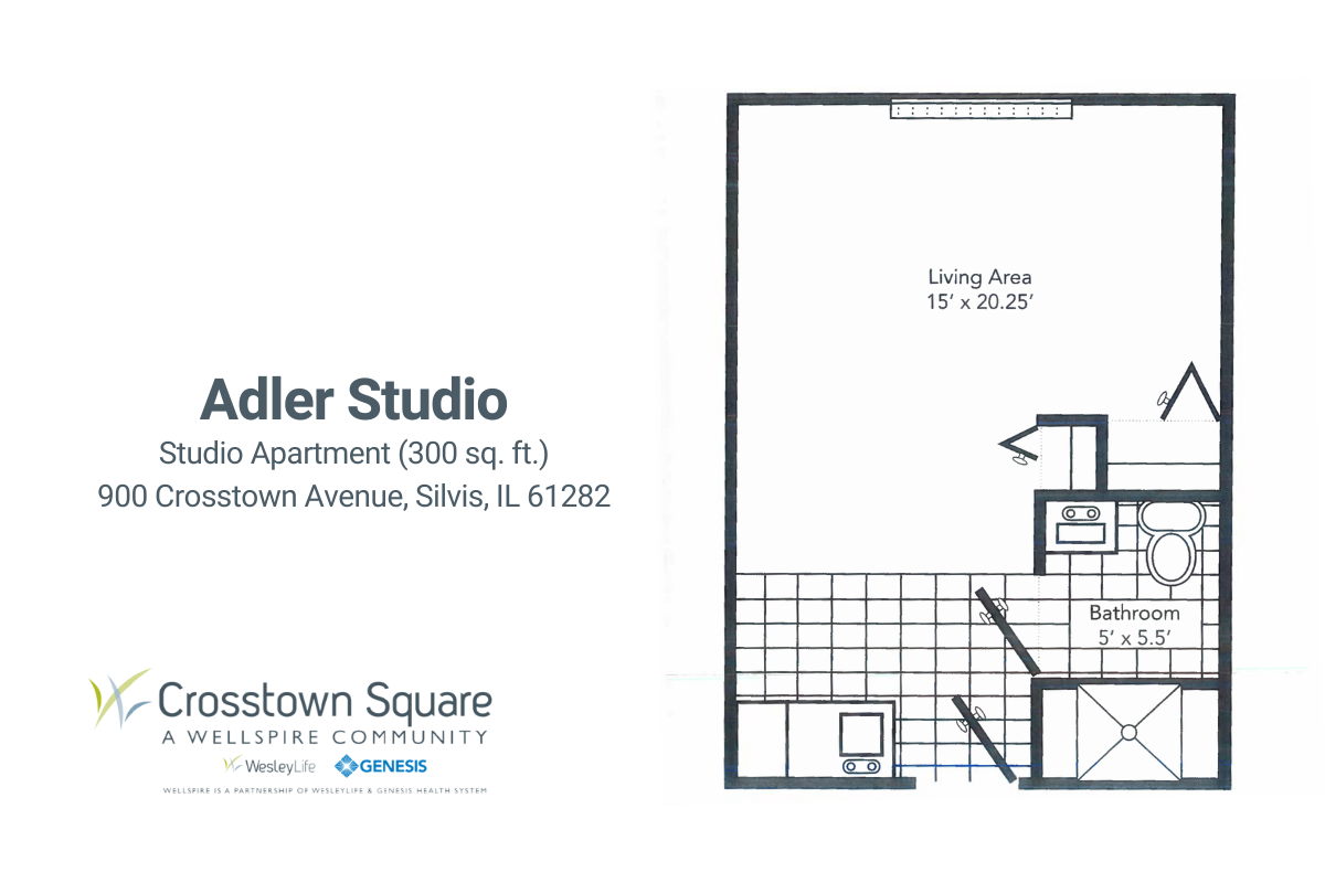 Adler Studio
