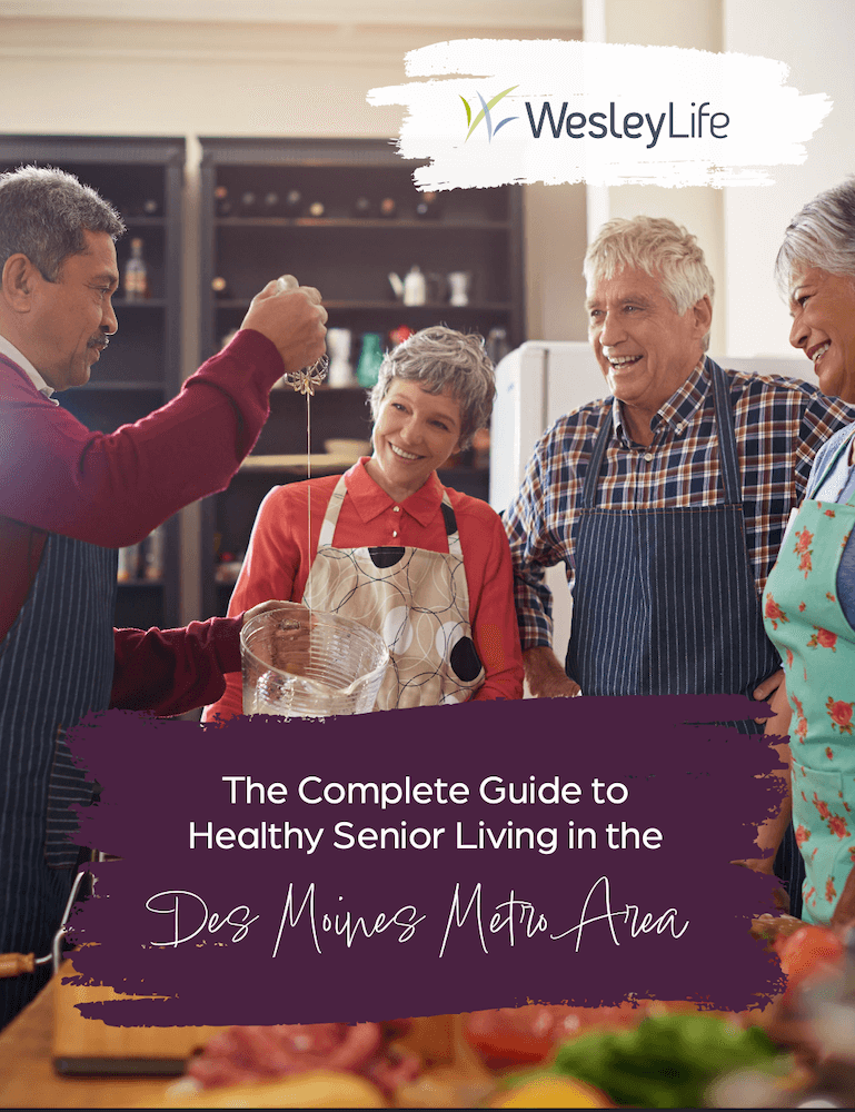 The Complete Guide to Healthy Senior Living in the Des Moines Metro Area Ebook Cover