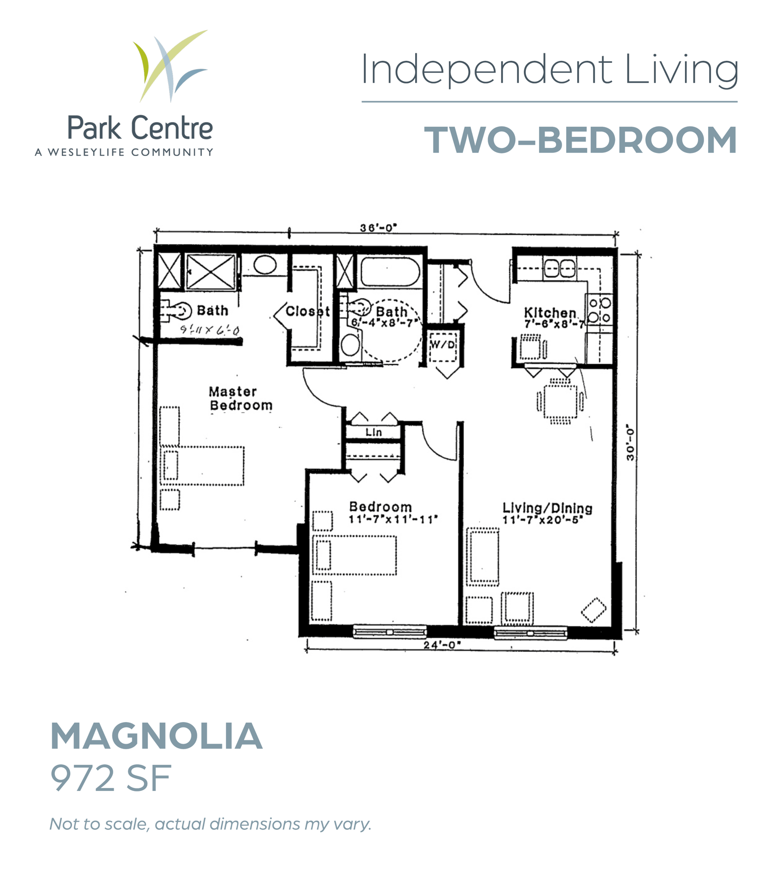 Magnolia
