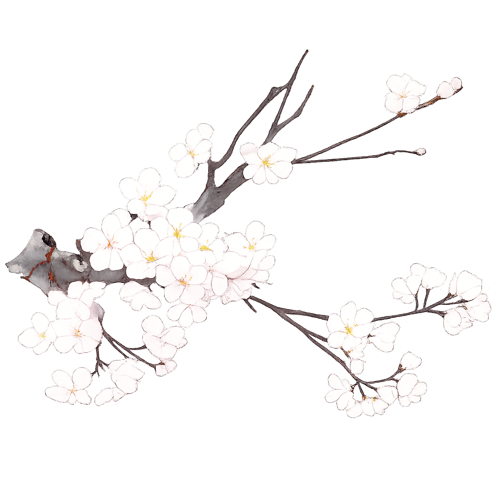 Spring 2026 Flowers