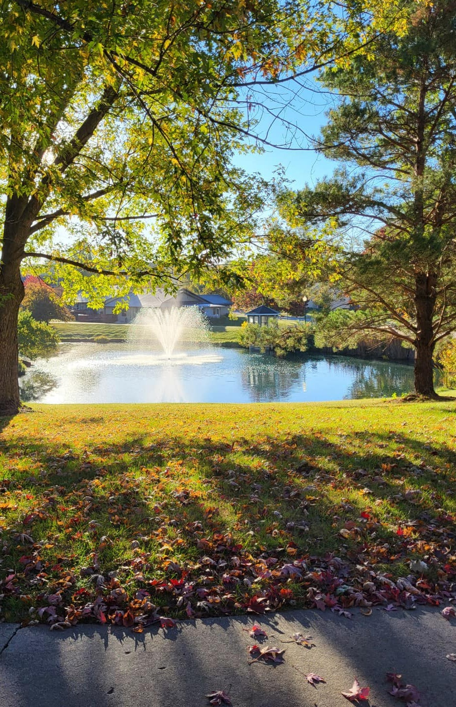 the village pond with fountain