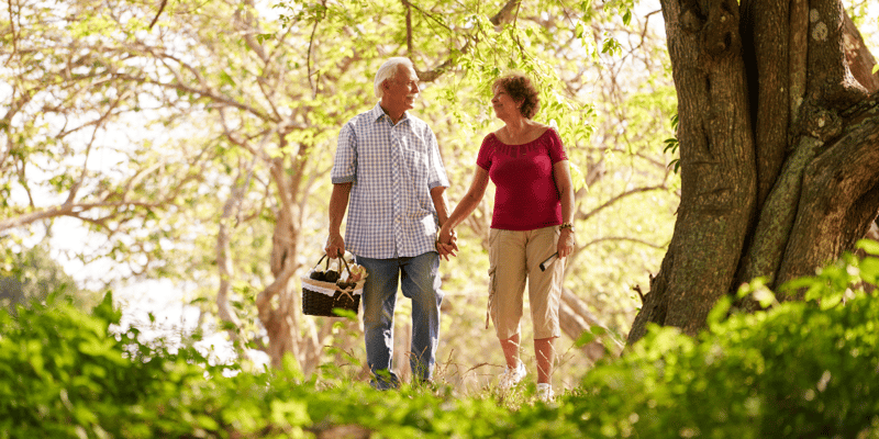 A senior couple holding hands and walking through the woods with a picnic basket.