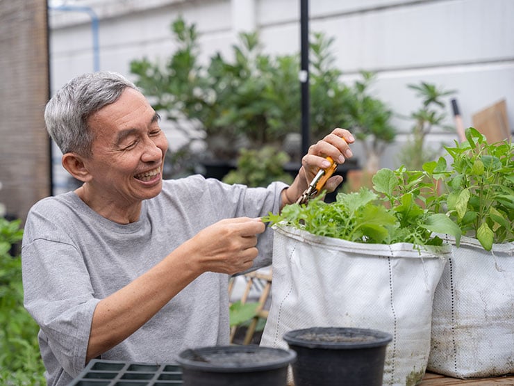 Senior asian man gardening