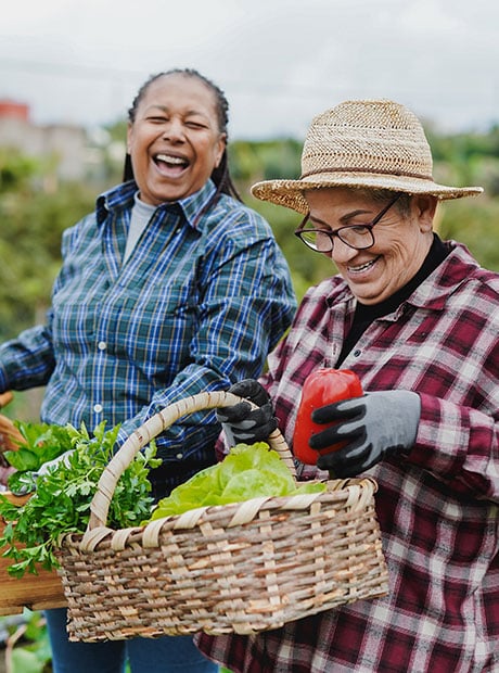 Two senior ladies gardening