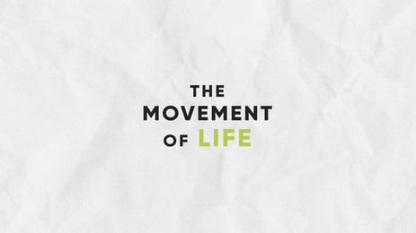 The Movement of Life guide cover