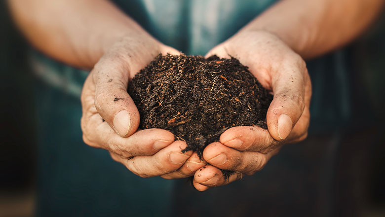 hands holding fresh dirt