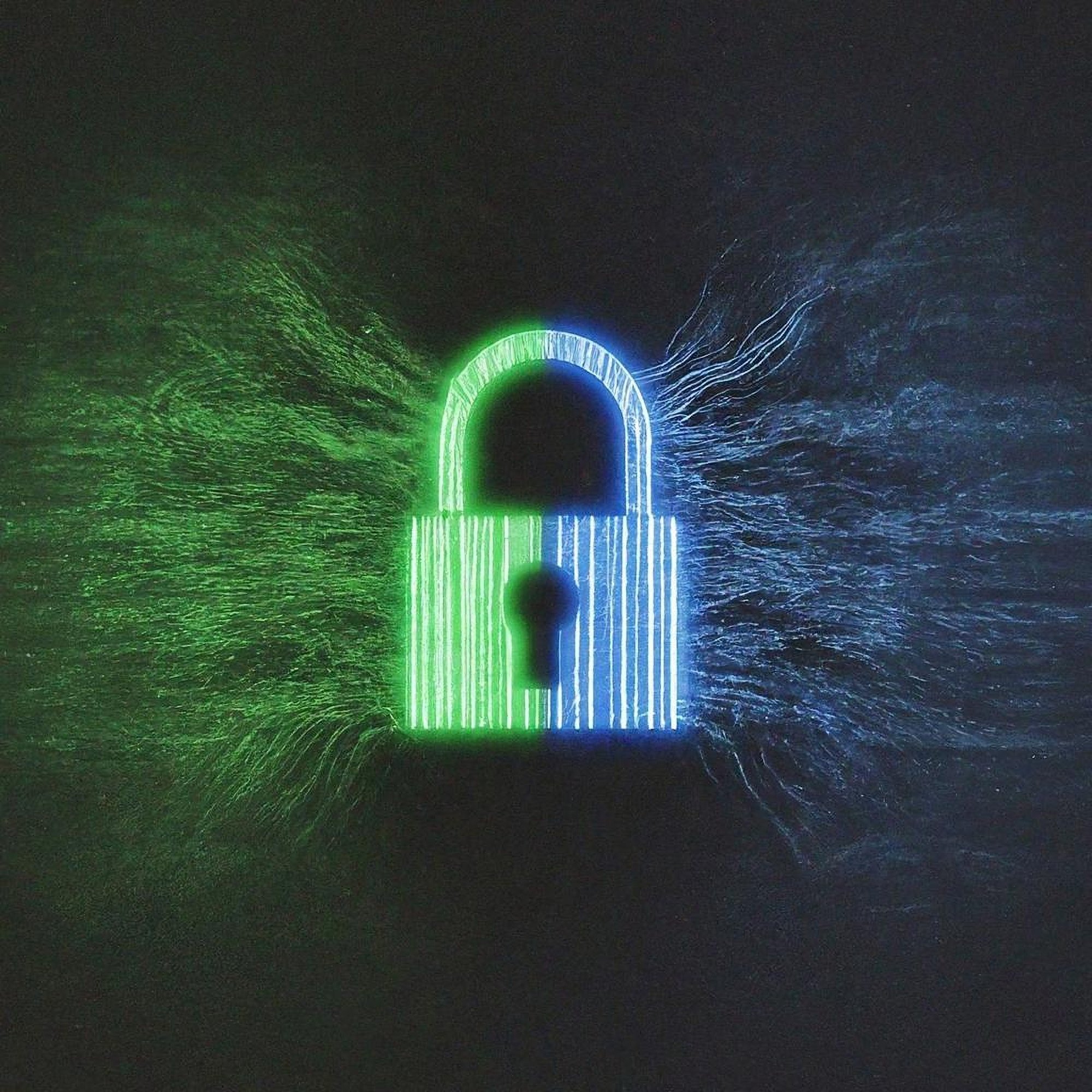 shutterstock_2468158601-1